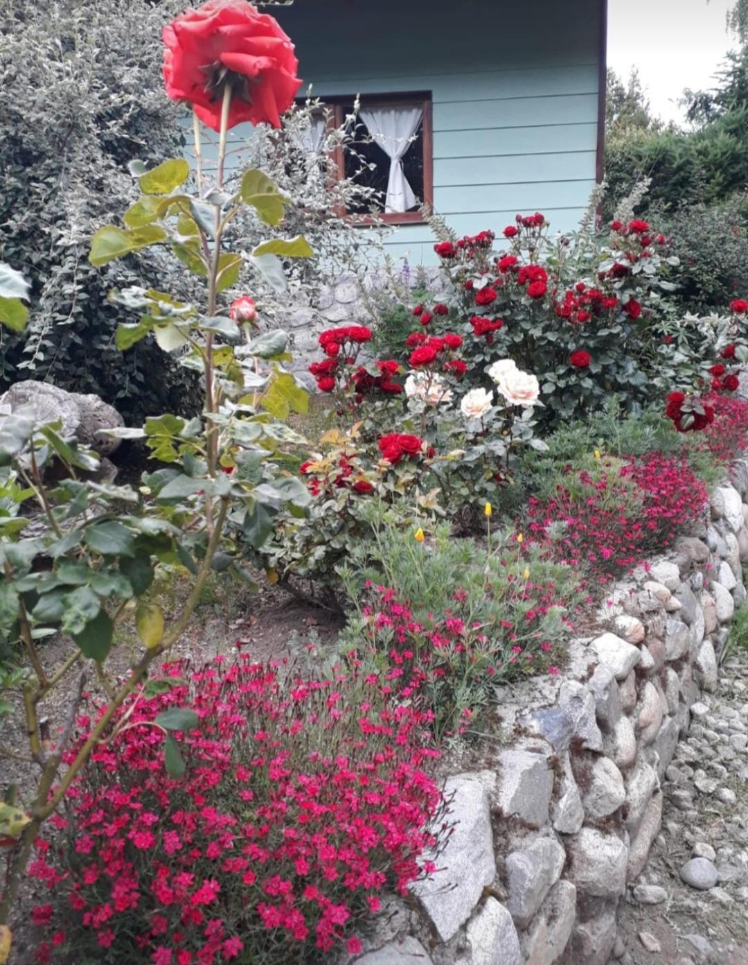 Tierras Del Sur I Un Calido Lugar Villa Villa La Angostura Exterior foto